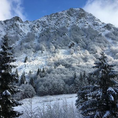 Val Di Luce - Delizioso Appartamento 6 Posti Letto - Accesso Diretto Alle Piste Da Sci Abetone Exteriör bild