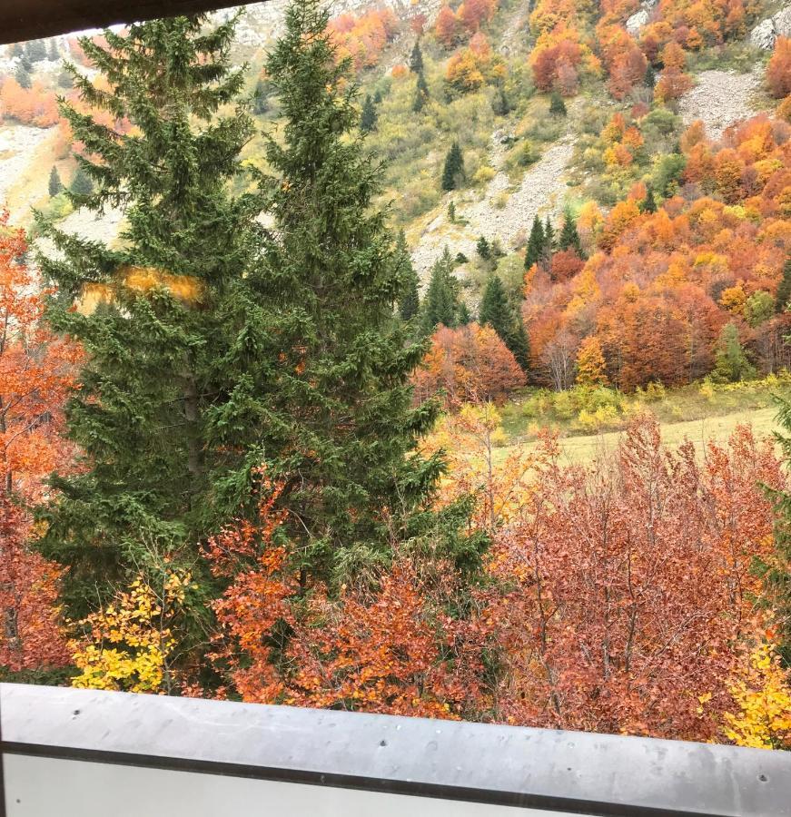Val Di Luce - Delizioso Appartamento 6 Posti Letto - Accesso Diretto Alle Piste Da Sci Abetone Exteriör bild