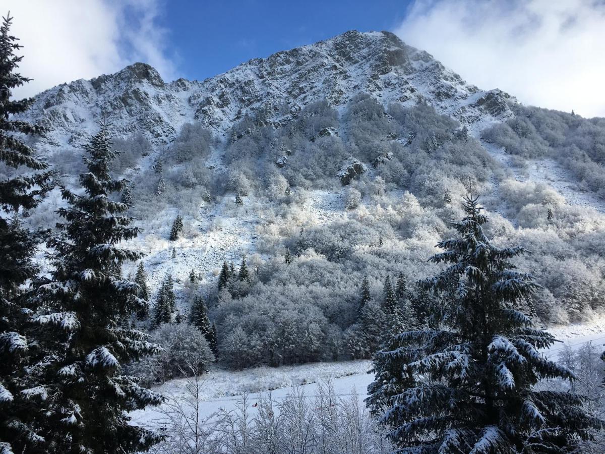 Val Di Luce - Delizioso Appartamento 6 Posti Letto - Accesso Diretto Alle Piste Da Sci Abetone Exteriör bild